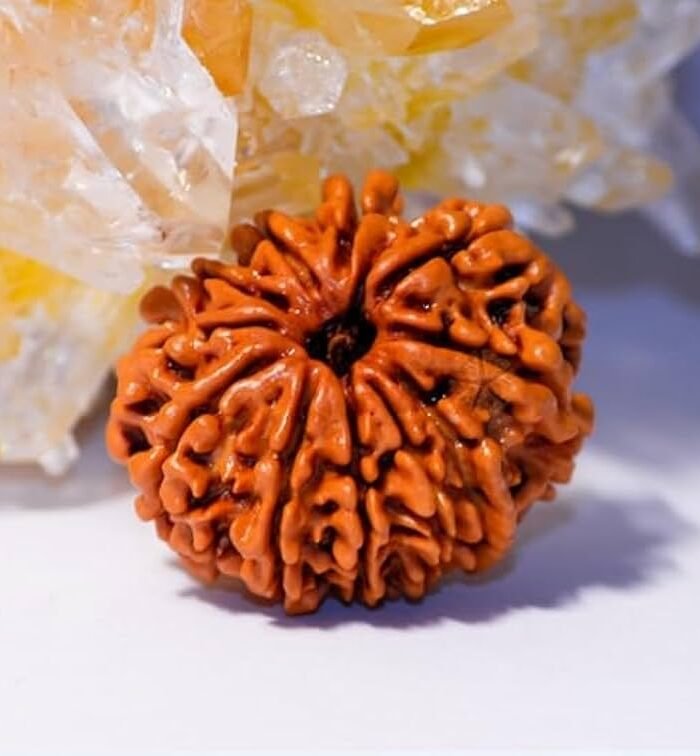 10 Mukhi Rudraksha (Ten Faced) – Protective Bead for Peace, Balance & Positivity (indo)