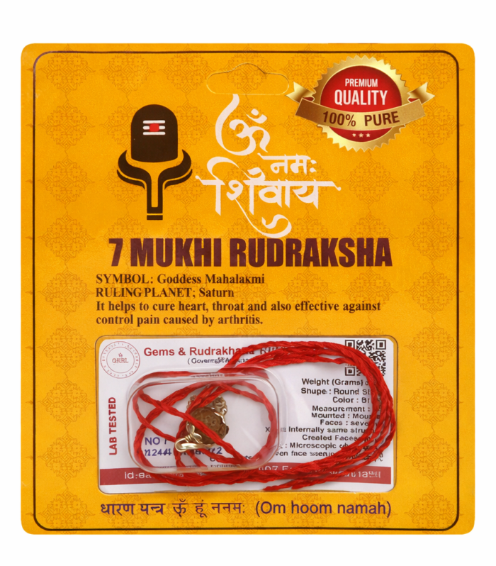 7 Mukhi Rudraksha with Certified Thread – Symbol of Prosperity, Stability & Divine Blessings  (indo)