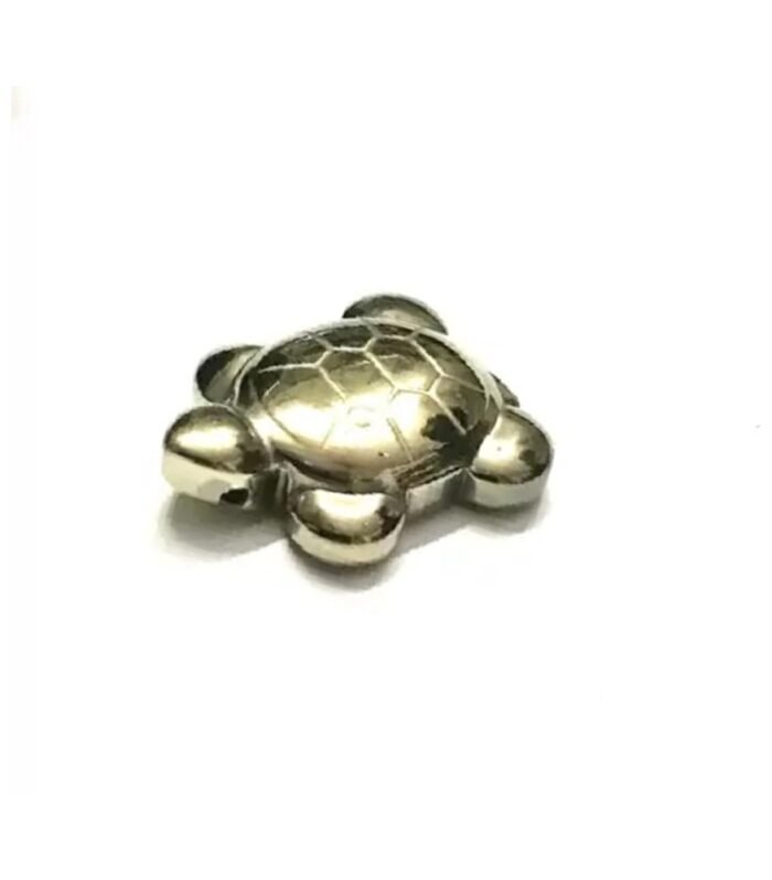 Pyrite Tortoise