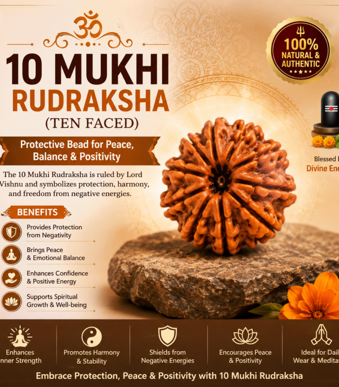 10 Mukhi Rudraksha (Ten Faced) – Protective Bead for Peace, Balance & Positivity (indo)