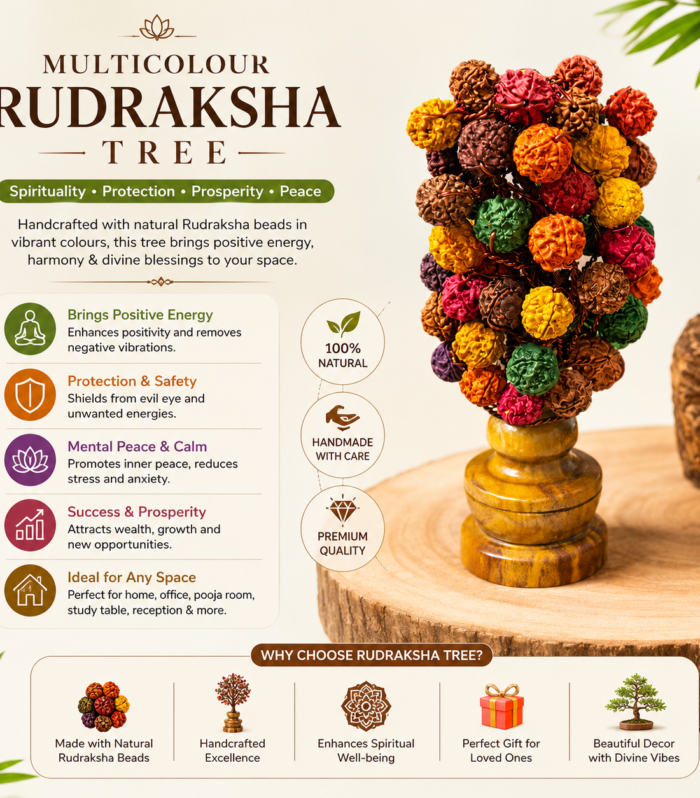 Multicolour Rudraksha Tree