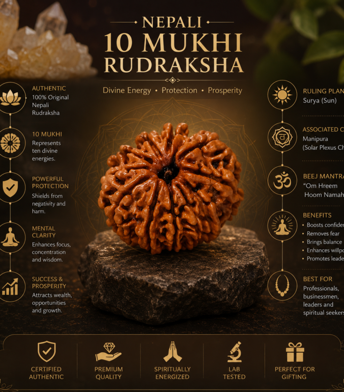 Nepali 10 Mukhi Rudraksha