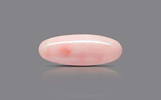 Light Pink Coral – 8.92 Carat Natural