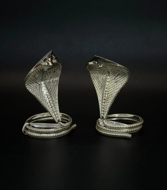 Divine Naag–Naagin Silver Idol (Spiritual Protection & Kaal Sarp Shanti)